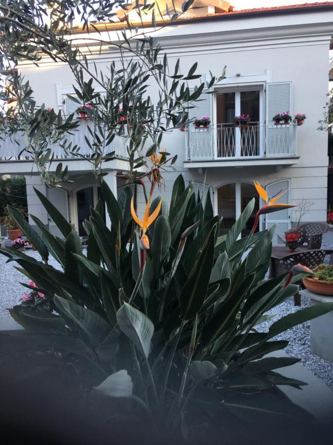 Guesthouse Villa Jung Бордихера Екстериор снимка